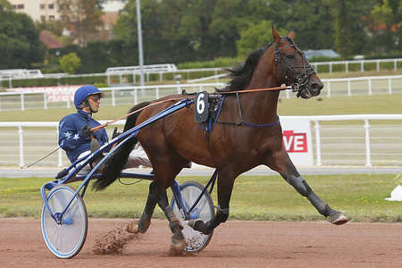 Actualités Hippiques